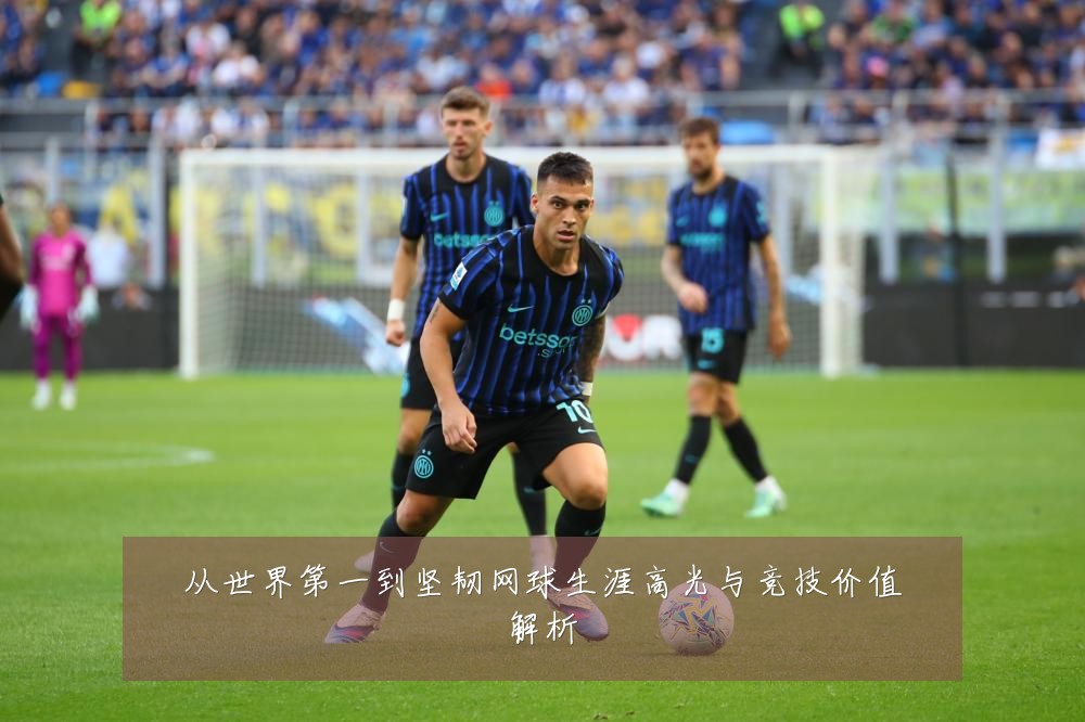 从世界第一到坚韧网球生涯高光与竞技价值解析